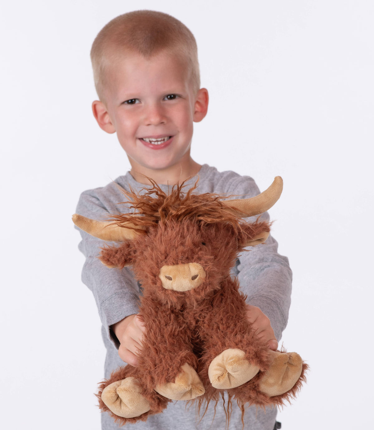 Hamish the Highland Cow