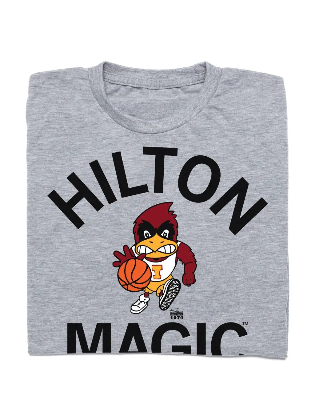 Raygun Hilton Magic Vintage Cy