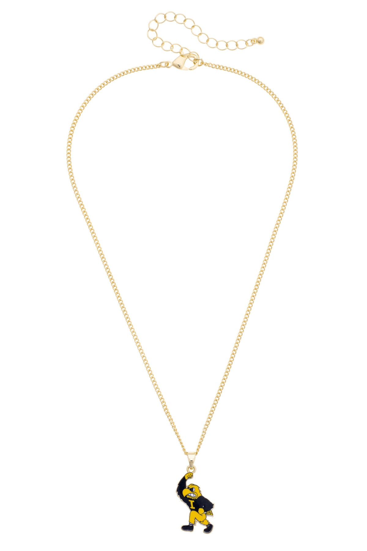 Iowa Hawkeyes Enamel Icon Necklace